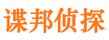 广阳市侦探公司